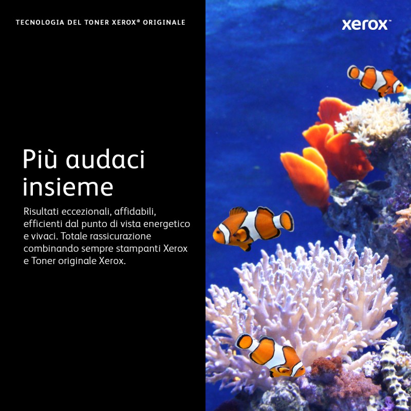 xerox-cartuccia-toner-nero-da-5500-pagine-per-phaser-6510-workcentre-6515-106r03480-11.jpg