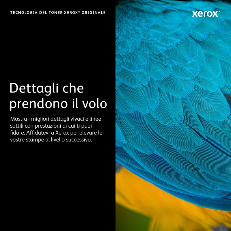 xerox-cartuccia-toner-giallo-da-2-400-pagine-per-phaser-6510-workcentre-6515-106r03479-3.jpg