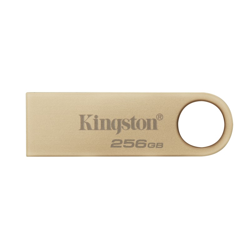 kingston-technology-datatraveler-256gb-220mb-s-drive-usb-3-2-gen-1-in-metallo-se9-g3-1.jpg