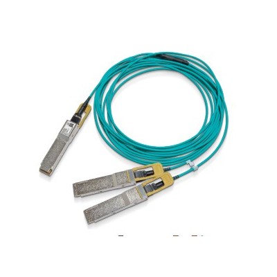 Nvidia MFS1S50-H005V cavo InfiniBand e in fibra ottica 5 m QSFP56 2x QSFP56 Blu