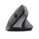 Trust Bayo II mouse Mano destra RF Wireless Ottico 2400 DPI