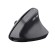 Trust TM-270 mouse Mano destra RF Wireless Ottico 2400 DPI