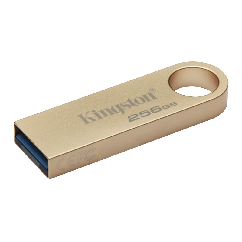 Kingston Technology DataTraveler 256GB 220MB s Drive USB 3.2 Gen 1 in Metallo SE9 G3