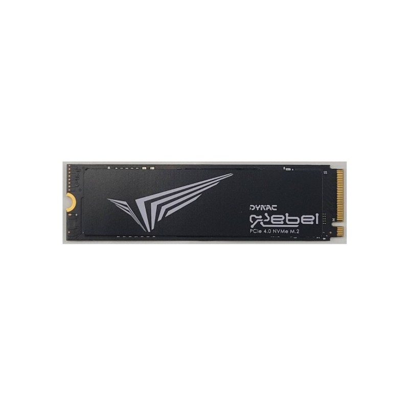 DYNAC DREBEL2TB R drives allo stato solido M.2 2 TB PCI Express 4.0 NVMe