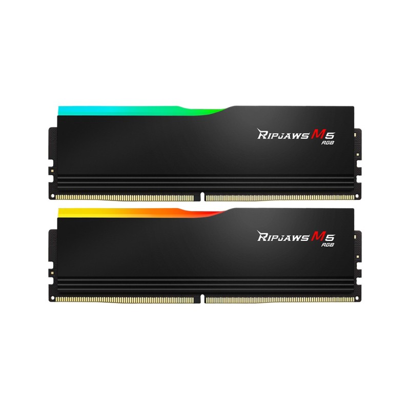 G.Skill F5-6000J3238G32GX2-RM5RK memoria 64 GB 2 x 32 GB DDR5 6000 MHz