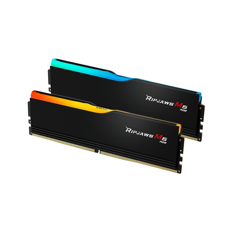 G.Skill F5-6000J3238G32GX2-RM5RK memoria 64 GB 2 x 32 GB DDR5 6000 MHz