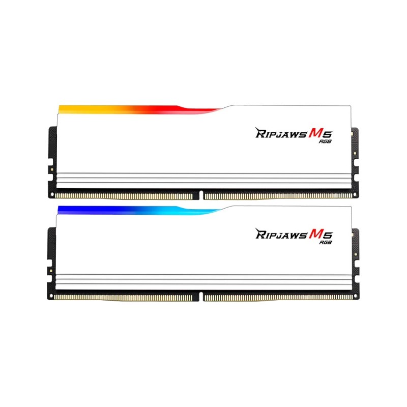 G.Skill F5-6000J3238G32GX2-RM5RW memoria 64 GB 2 x 32 GB DDR5 6000 MHz