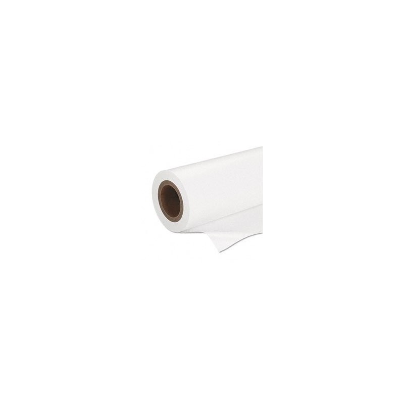 Epson Premium SemiGloss Photo Paper(170), in rotoli da 41, 91 cm x 30, 48m (16, 5" x 100').