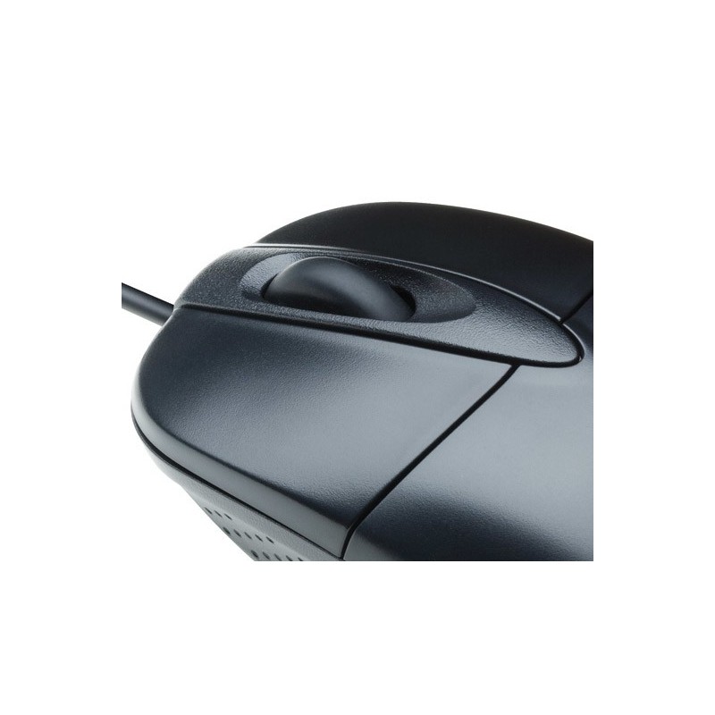 V7 Full Size Mouse ottico USB