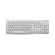 Logitech Keyboard K120 for Business tastiera USB QWERTZ Tedesco Bianco