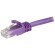 StarTech.com N6PATC15MPL cavo di rete Viola 15 m Cat6 U UTP (UTP)