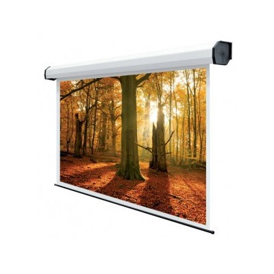 Sopar Rubin schermo per proiettore 4,32 m (170") 1 1