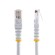 StarTech.com Cavo patch UTP Cat5e RJ45 modellato bianco da 15 m Cat 5e - Cavo patch da 15 m