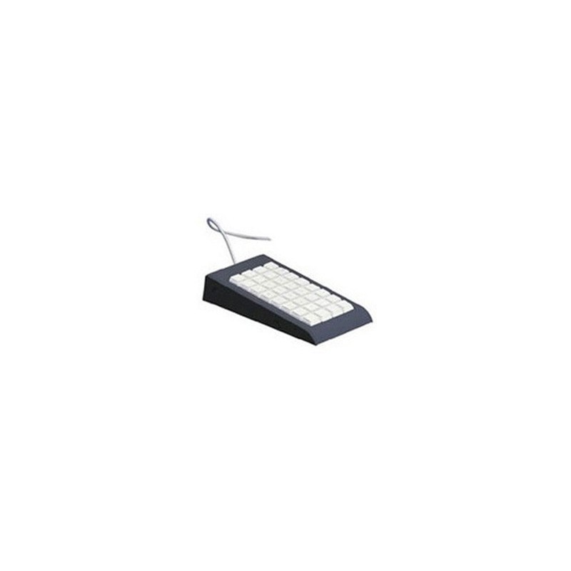 Epson 7106589 tastiera USB Grigio