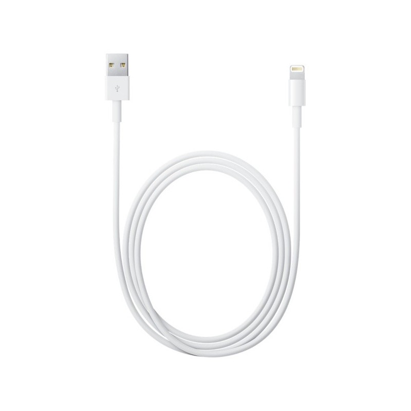 Apple Cavo da lightning a USB 2mt