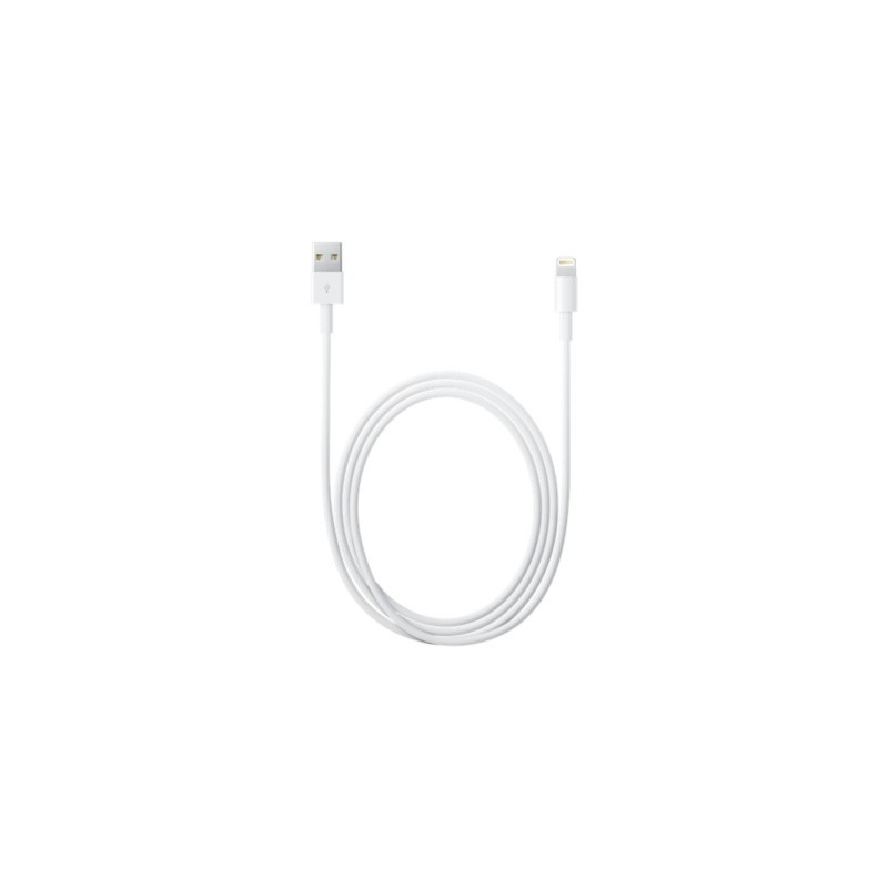 Apple Cavo da lightning a USB 2mt