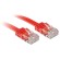 Lindy 47512 cavo di rete Rosso 2 m Cat6