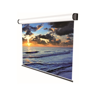 Sopar Electric Professional schermo per proiettore 4,24 m (167") 1 1