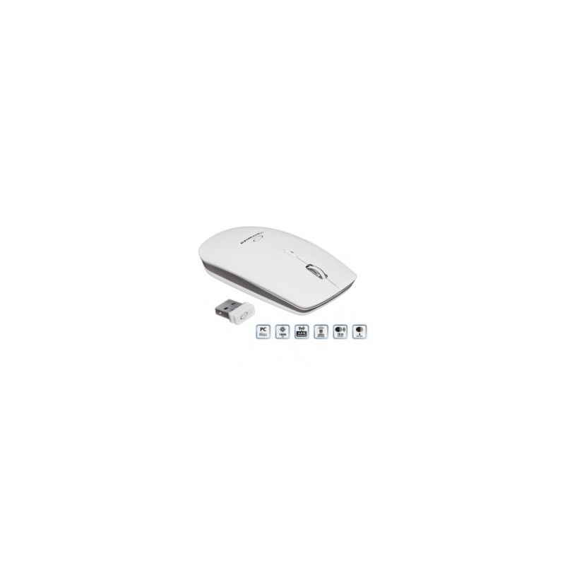 Esperanza EM120W mouse RF Wireless Ottico 2400 DPI