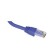 Brand-Rex C6CPCU030-444BB cavo di rete Blu 3 m Cat6+ U UTP (UTP)