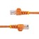 StarTech.com Cavo di rete CAT 5e - Cavo Patch Ethernet RJ45 UTP Arancio da 1m antigroviglio