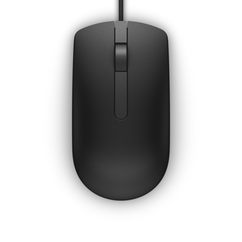 DELL MS116 mouse Ambidestro USB tipo A Ottico 1000 DPI