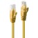 Lindy 48062 cavo di rete Giallo 1 m Cat6 U UTP (UTP)