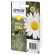 Epson Daisy Cartuccia Margherita Giallo Inchiostri Claria Home 18XL