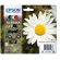 Epson Daisy Multipack Margherita 4 colori Inchiostri Claria Home 18XL