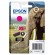 Epson Elephant Cartuccia Magenta XL