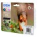 Epson Squirrel Multipack 6-colours 378 Claria Photo HD Ink