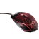 Trust GXT 1180RW tastiera Mouse incluso USB Italiano Nero