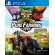 PLAION 1024003 videogioco Day One PlayStation 4