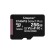 Kingston Technology Scheda micSDXC Canvas Select Plus 100R A1 C10 da 256GB + adattatore