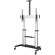 StarTech.com Mobile TV Stand girevole su ruote - Carrello porta TV resistente per schermi da 60-100" (100kg) - Supporto tv da