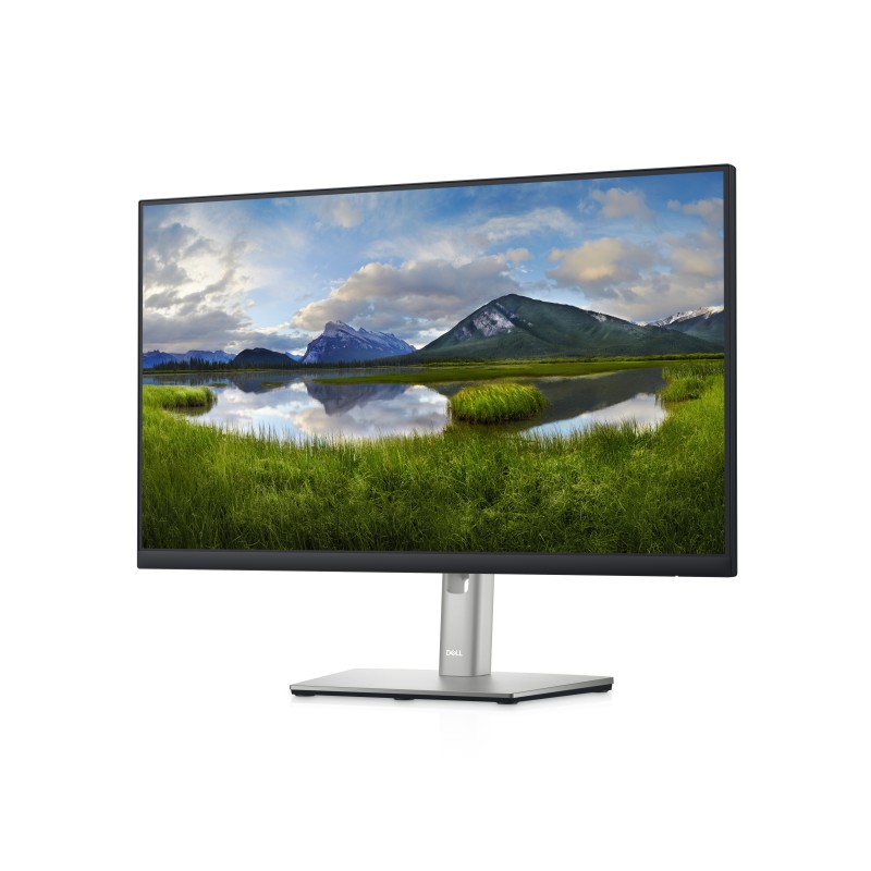 DELL P Series Monitor 24 USB-C Hub - P2422HE