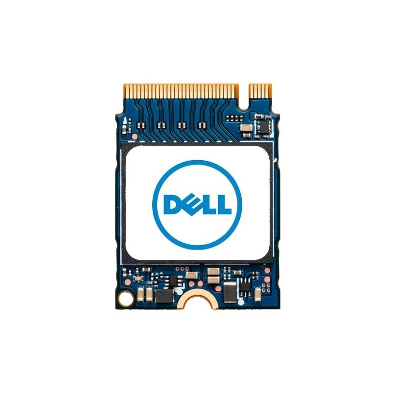 DELL AB673817 drives allo stato solido M.2 1 TB PCI Express NVMe