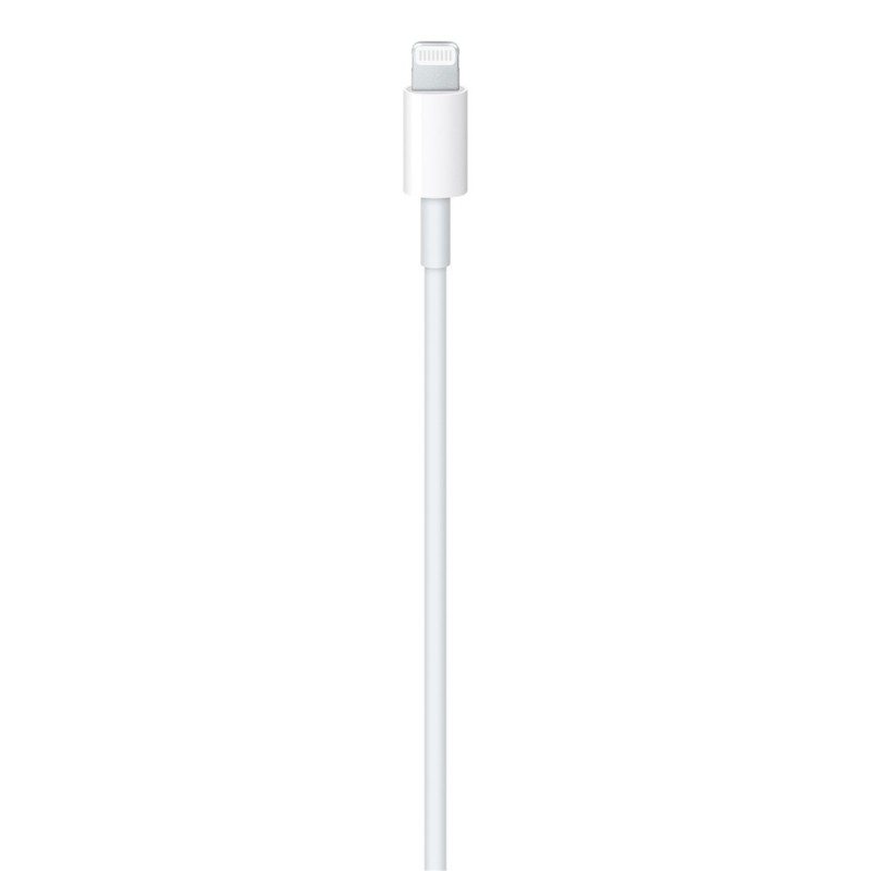 Apple Cavo da USB-C a lightning 2mt