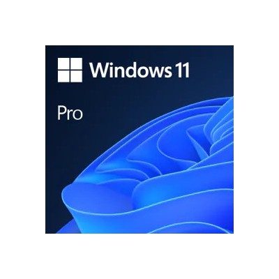Microsoft Windows 11 Pro 1 licenza e