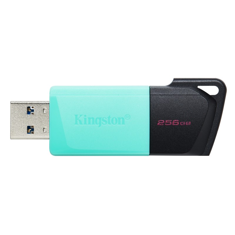 Kingston Technology DataTraveler 256GB USB3.2 Gen1 Exodia M (Nero + Verde ottanio)