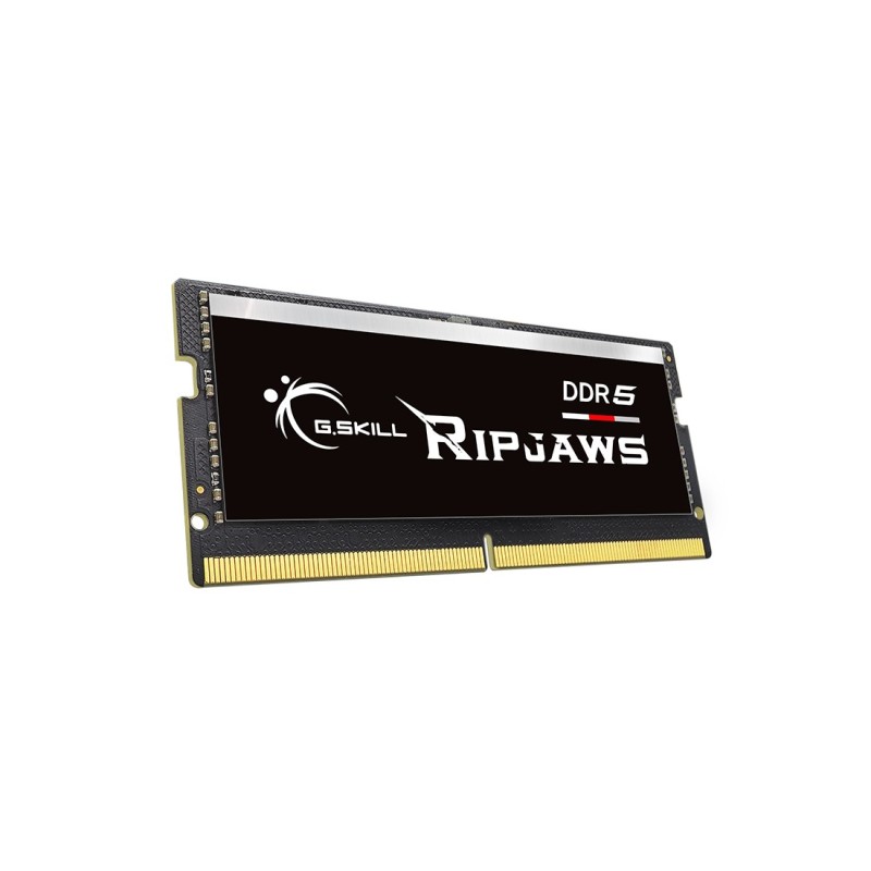 G.Skill Ripjaws F5-4800S4039A16GX1-RS memoria 16 GB 1 x 16 GB DDR5 4800 MHz