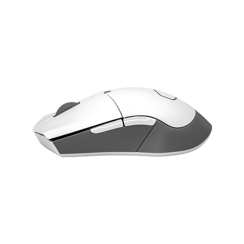 Cooler Master MM311 mouse Ambidestro RF Wireless Ottico 10000 DPI