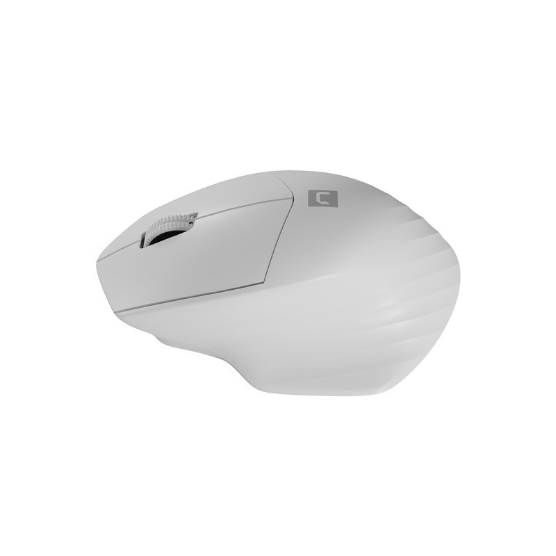 NATEC Siskin 2 mouse Mano destra Bluetooth Ottico 1600 DPI