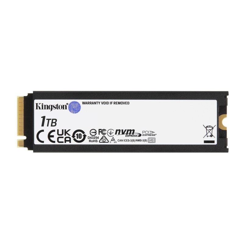 Kingston Technology 1000G RENEGADE PCIe 4.0 NVMe SSD W  Dissipatore di calore