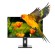 Nilox NXM24REG02 Monitor PC 61 cm (24") 1920 x 1080 Pixel Full HD LED Nero