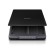 Epson Perfection V39II Scanner piano 4800 x 4800 DPI A4 Nero