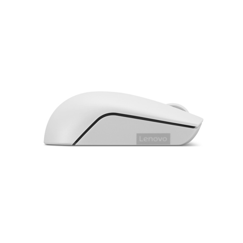 Lenovo 300 WIRELESS ?GREY mouse Ambidestro RF Wireless Ottico 1000 DPI