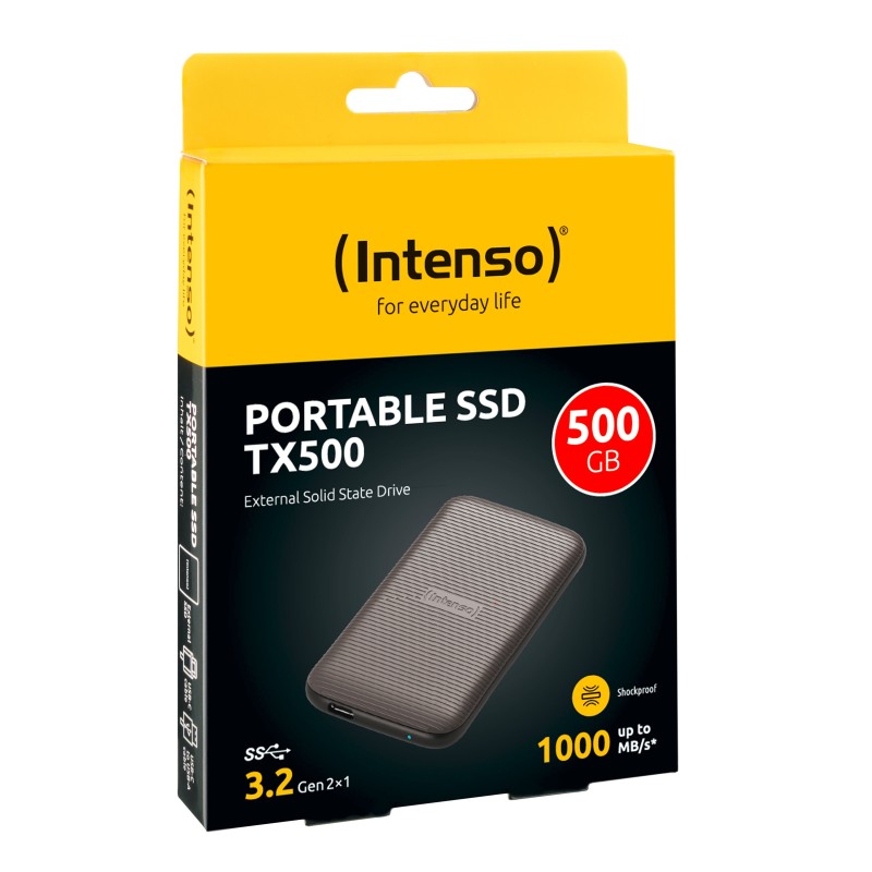 Intenso Lesen Schreiben bis zu 1000 MB s 500GB Marrone