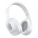 Celly FLOWBEATWH cuffia e auricolare Cuffie Wireless A Padiglione Business Everyday USB tipo-C Bluetooth Bianco