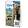 Epson Elephant Cartuccia Ciano xl